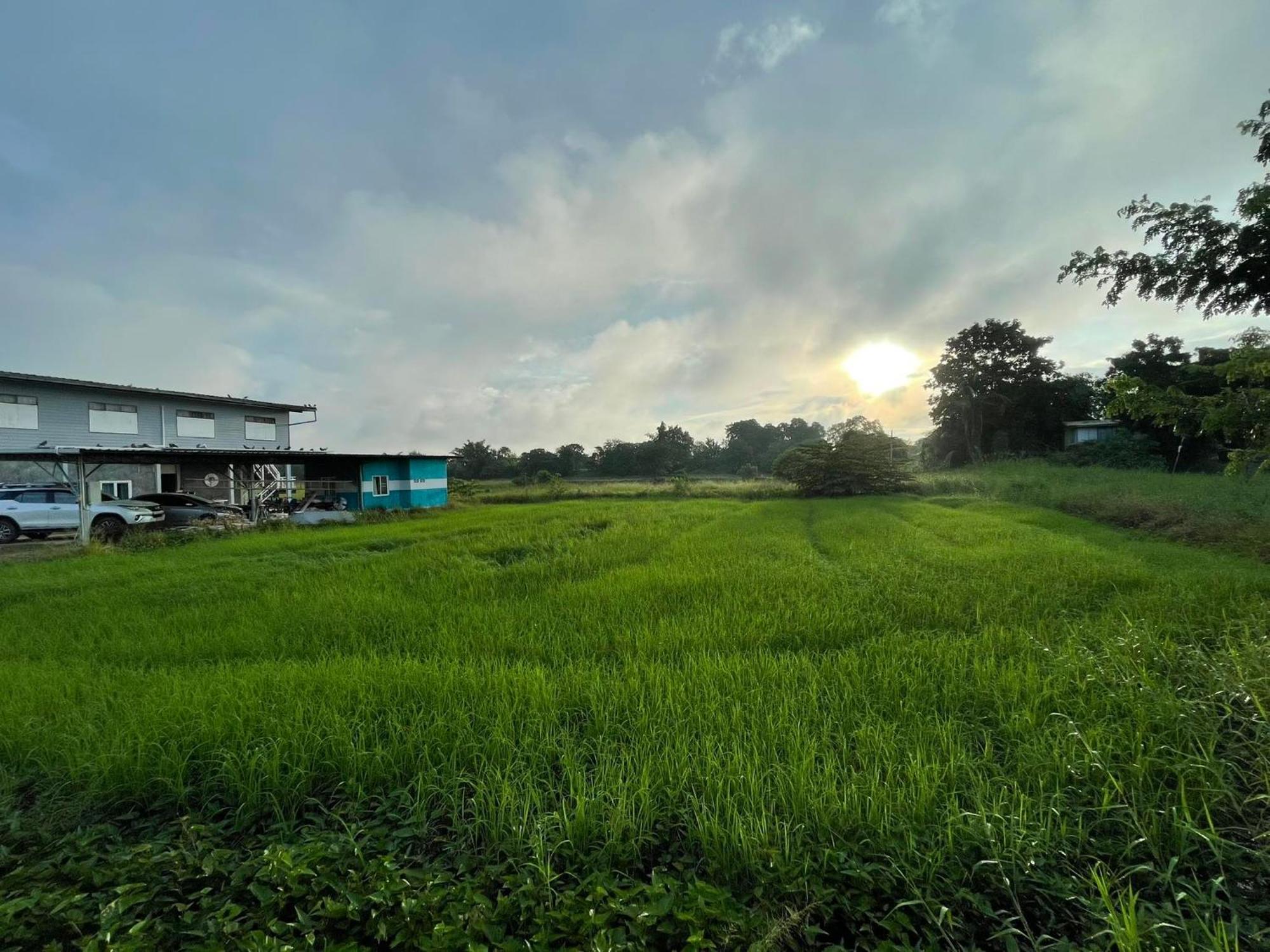 Srihome ยายศรีโฮมแอนแคมป์ปิ้ง Ban Don Tum 外观 照片